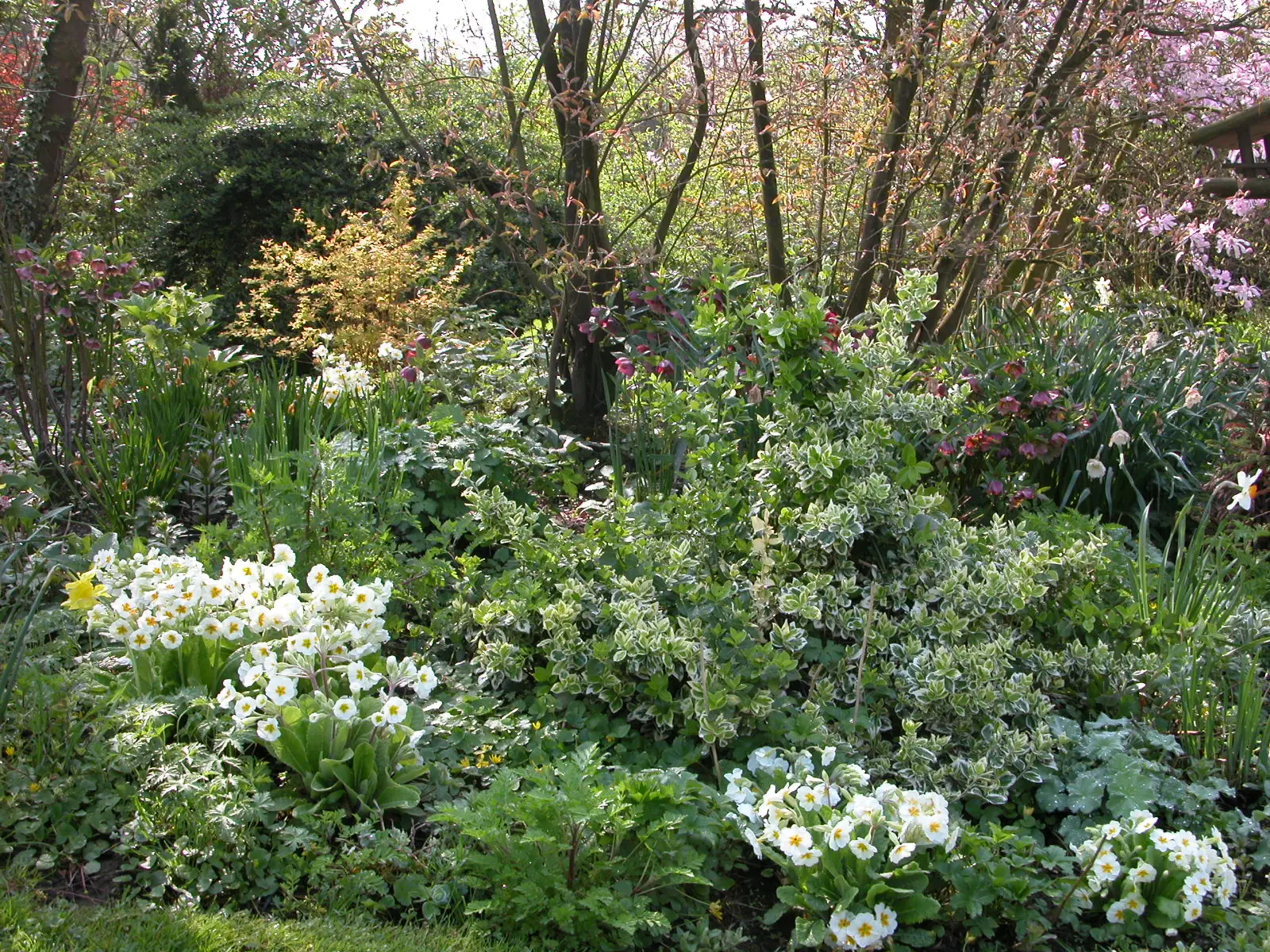 jardin de sylvie fontaine au printemps