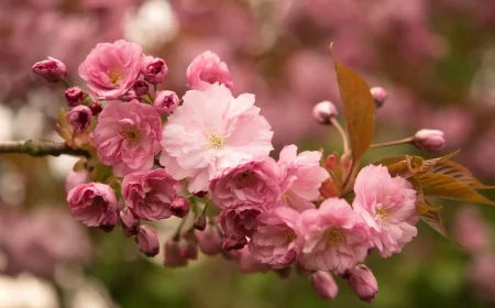 D3S_0158-r